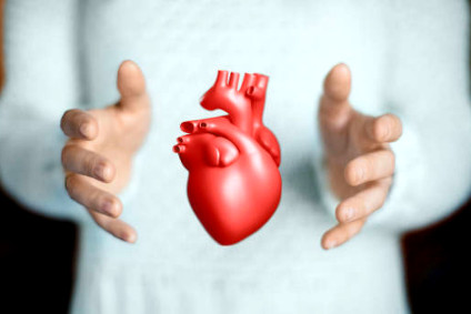 8325-mieux-connaitre-son-coeur-pour-mieux-le-proteger